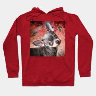 Adorable Cheeky Chihuahua Cute Face red art Hoodie